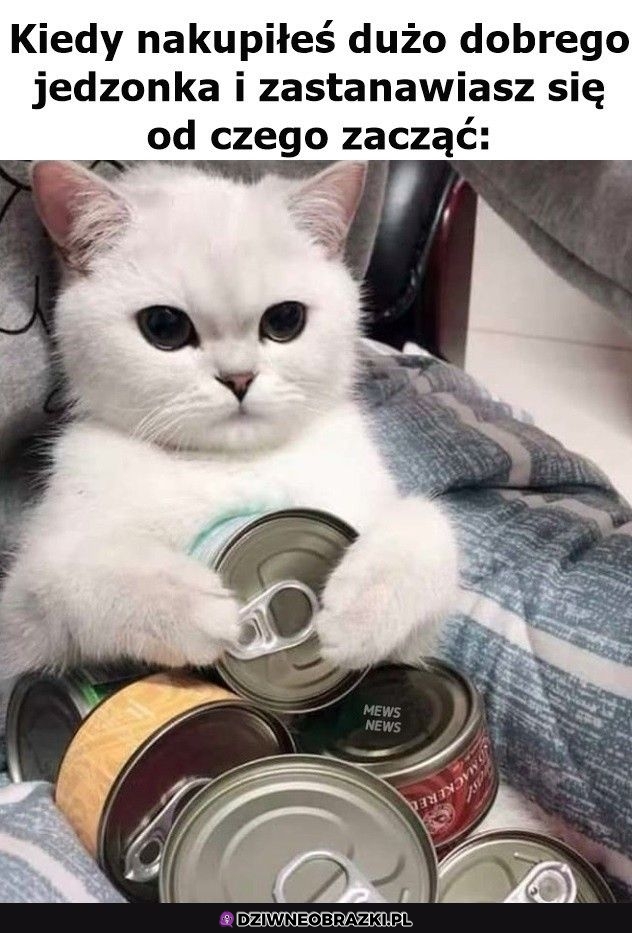 Ten moment Ten moment