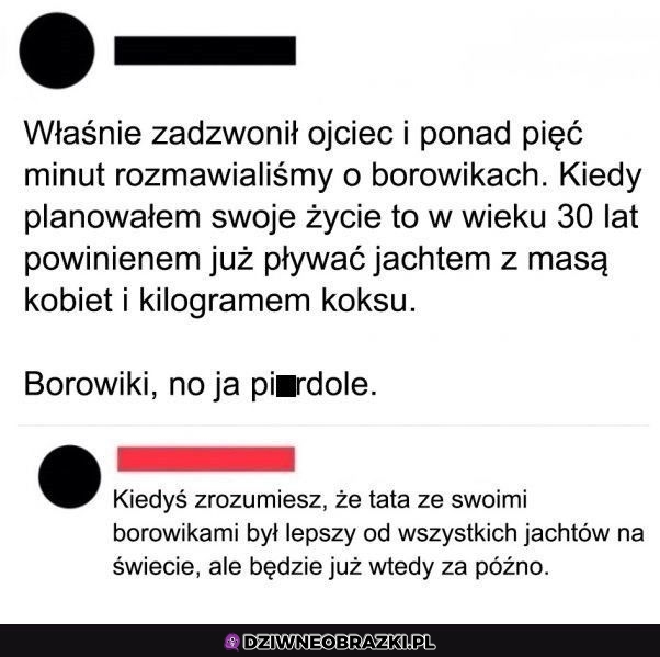 Borowiki najlepsze Borowiki najlepsze