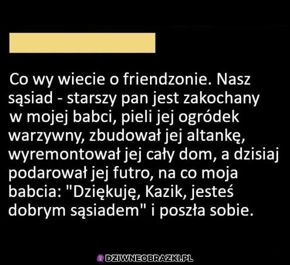 100% friendzone