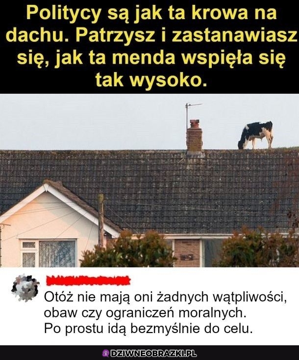 Politycy tacy są