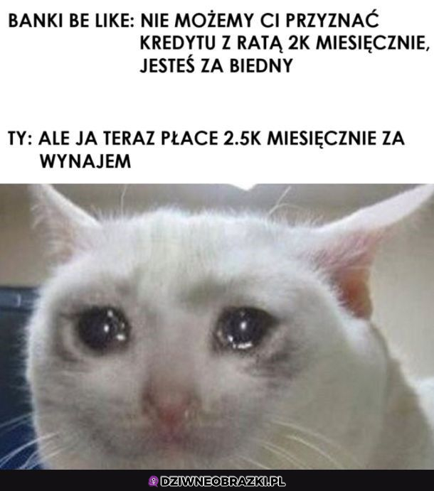 Ale jak to