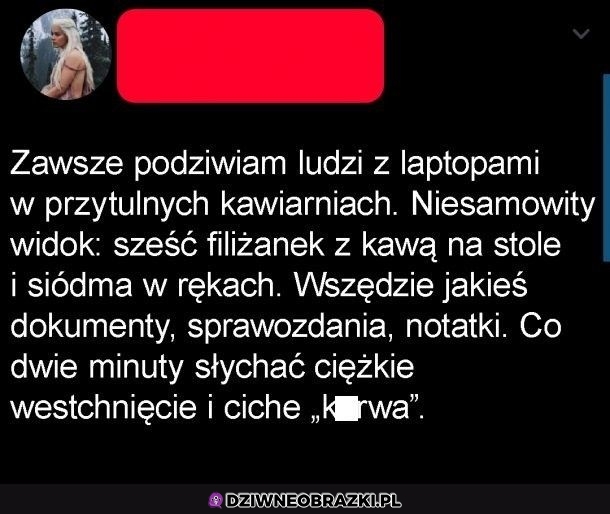 Podziwiam