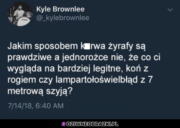 Właśnie