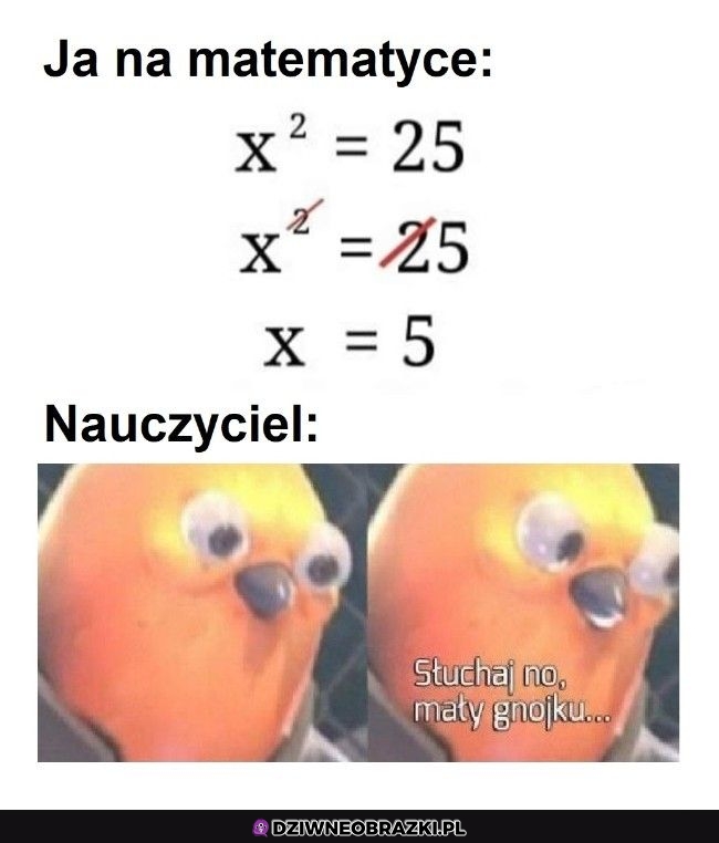 Na matematyce