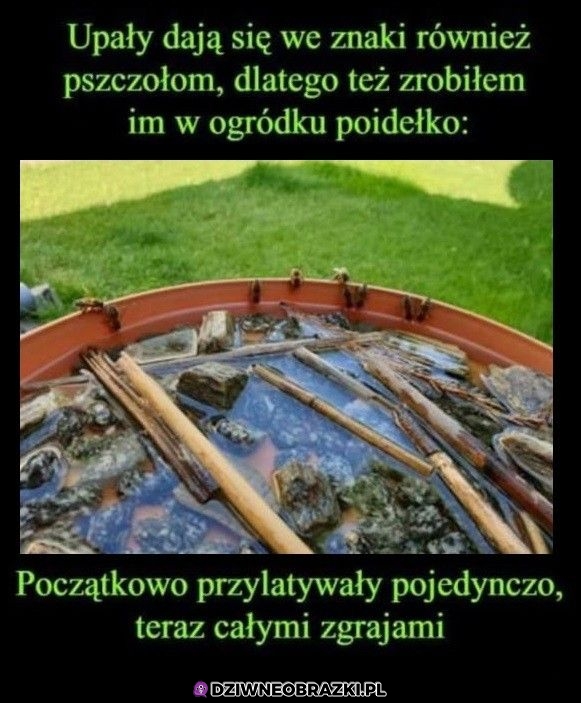 Fajna rzecz