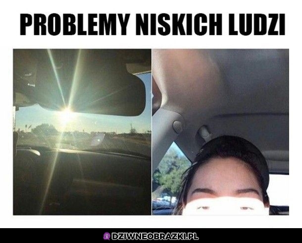 Bycie niskim