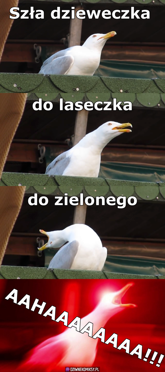 Szła dzieweczka