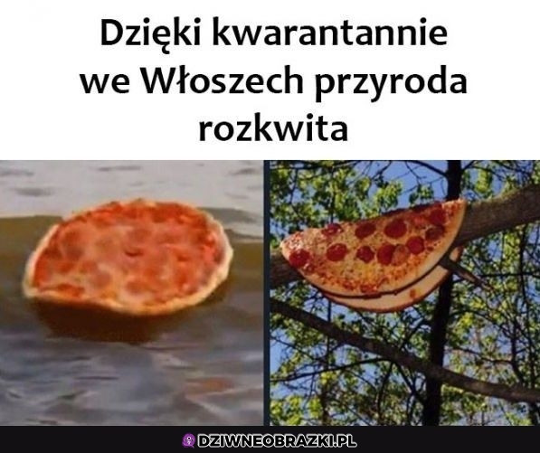 Rozkwit przyrody we Włoszech