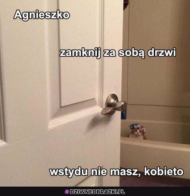 No weź zamknij