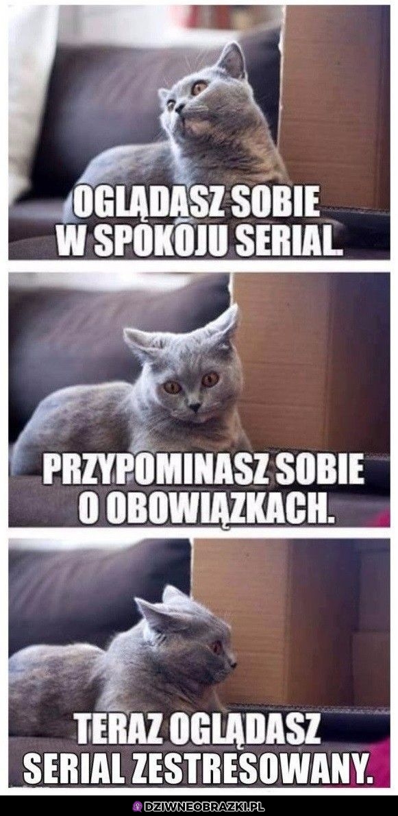 Kiedy oglądasz spokojnie serial