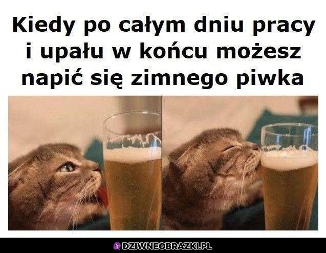 Cudowny moment