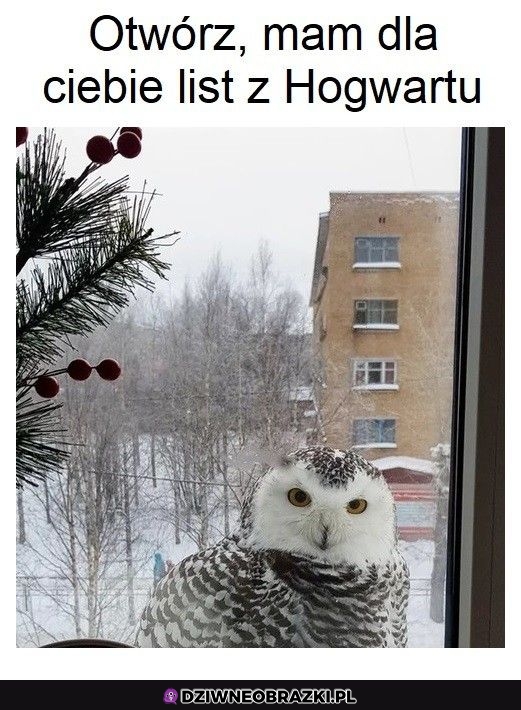 Weź no otwórz
