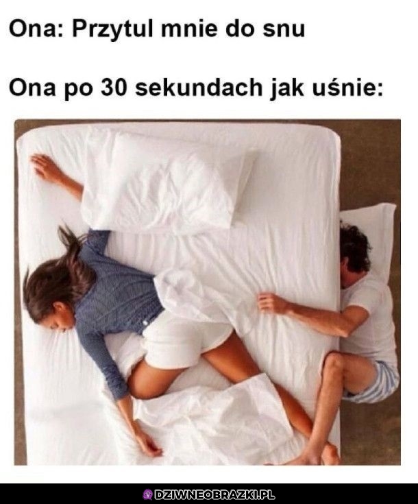 Laska w nocy