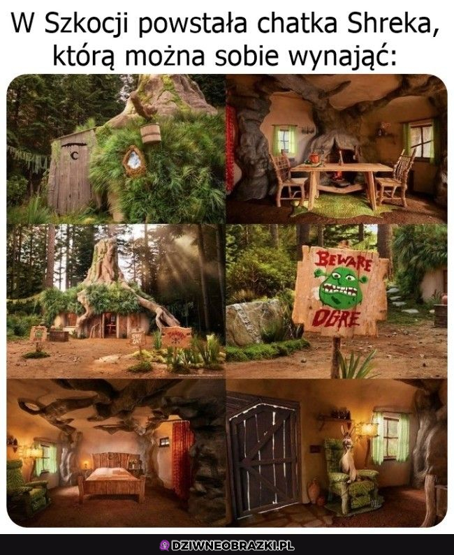 Wygląda nieźle