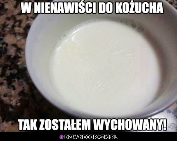 Kożuch