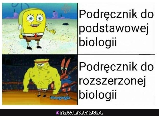 Podręcznik do biologii