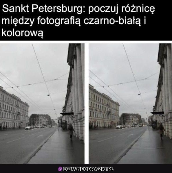 Olbrzymia różnica