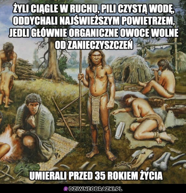 No właśnie