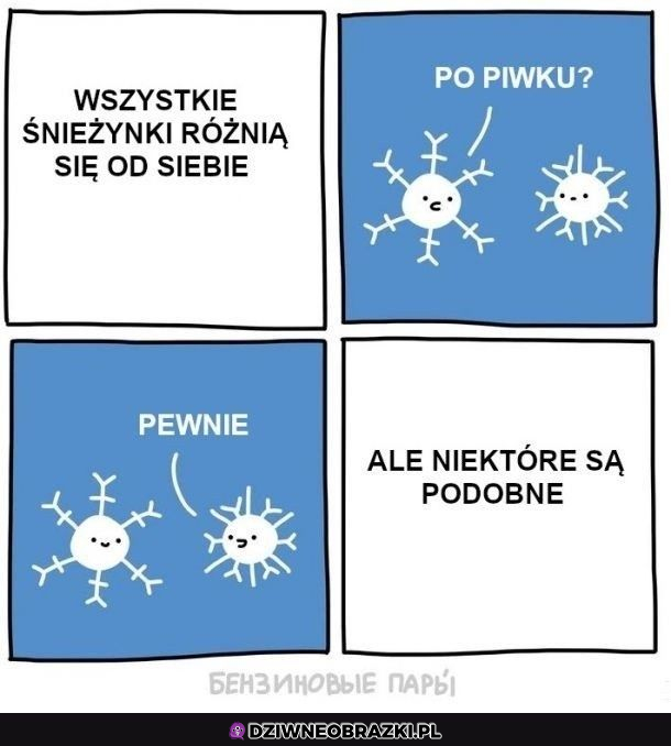 Śnieżynki