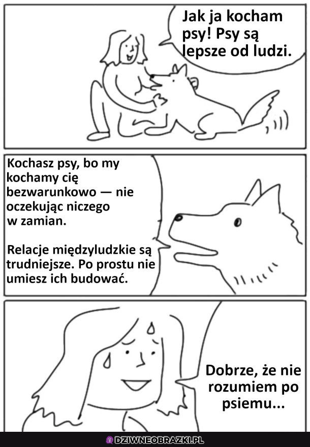 Kiedy pies ci pojedzie