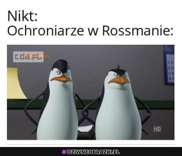 Prawdziwe kozaki