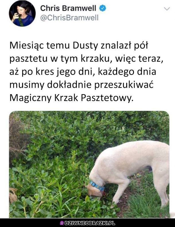 Poszukiwania trwają