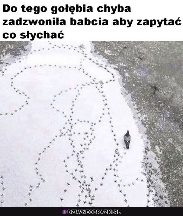 Tak chyba było