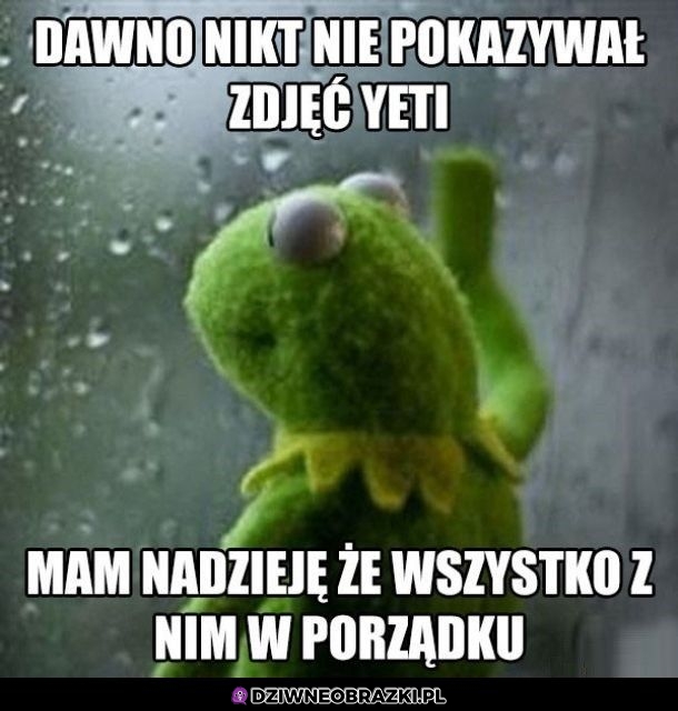 Pewnie ma się dobrze