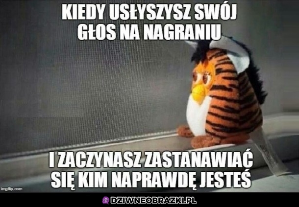 Albo czym