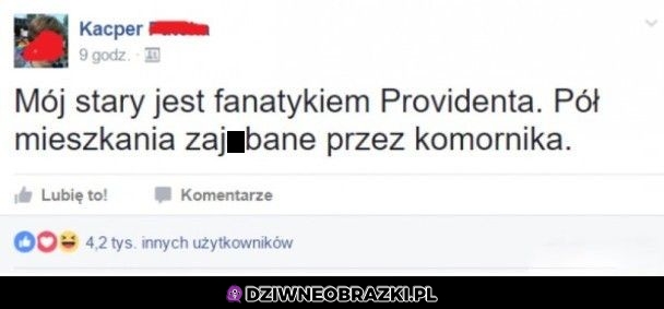 Fanatyk Providenta