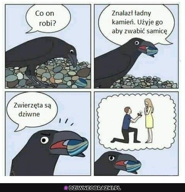Kto tu jest dziwny