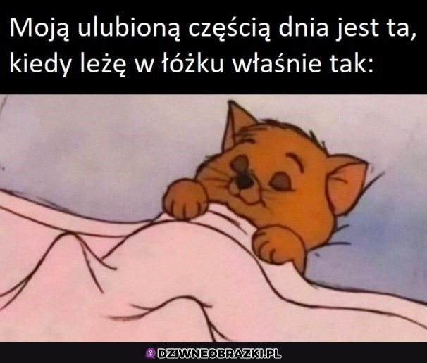 Ulubiona część dnia