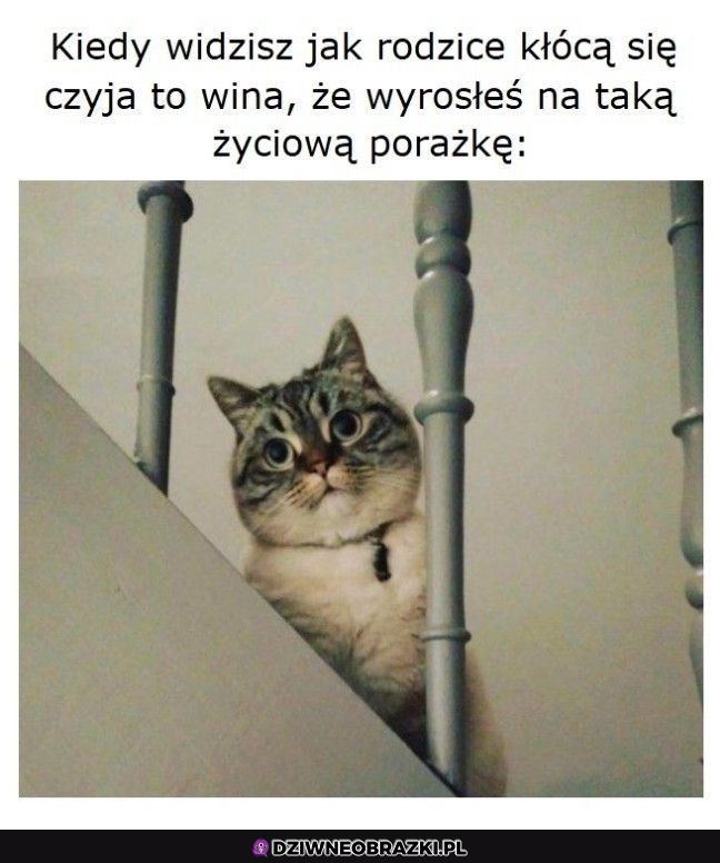 Ten moment