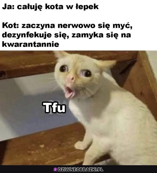Ten moment