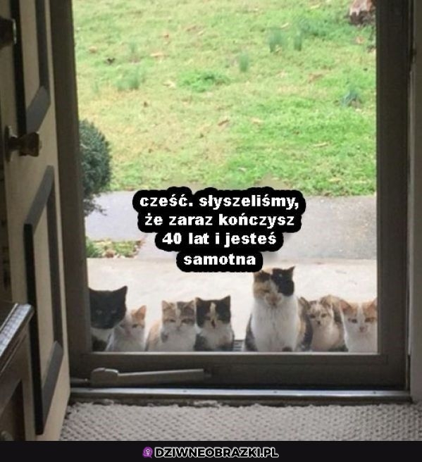 Witaj człowieku