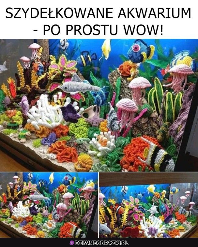 Ale piękne!