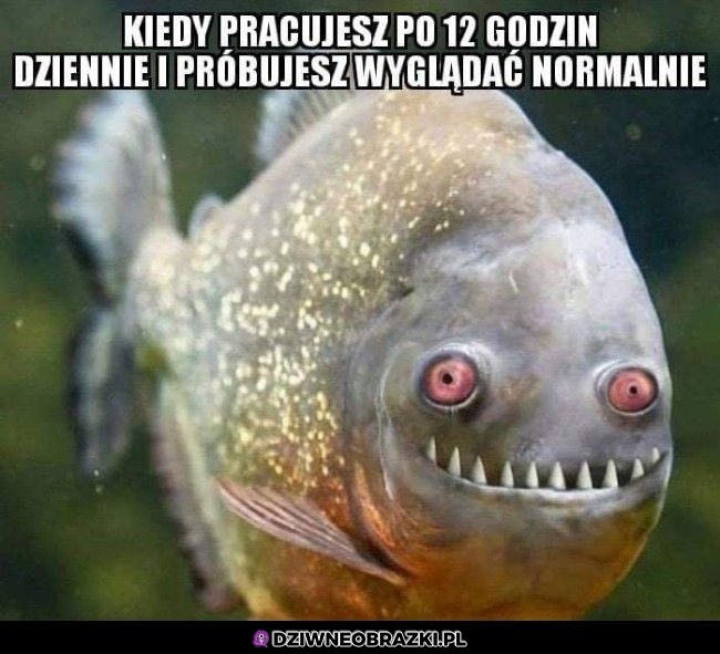 Kiedy pracujesz po 12 godzin