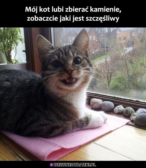 Zbieracz kamieni