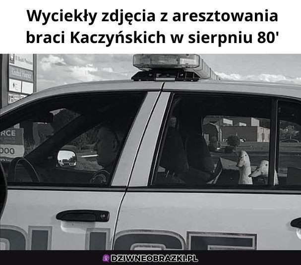 Prosto z archiwum