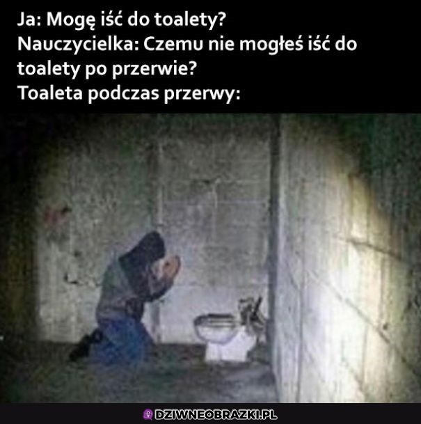 Tolaety na przerwie