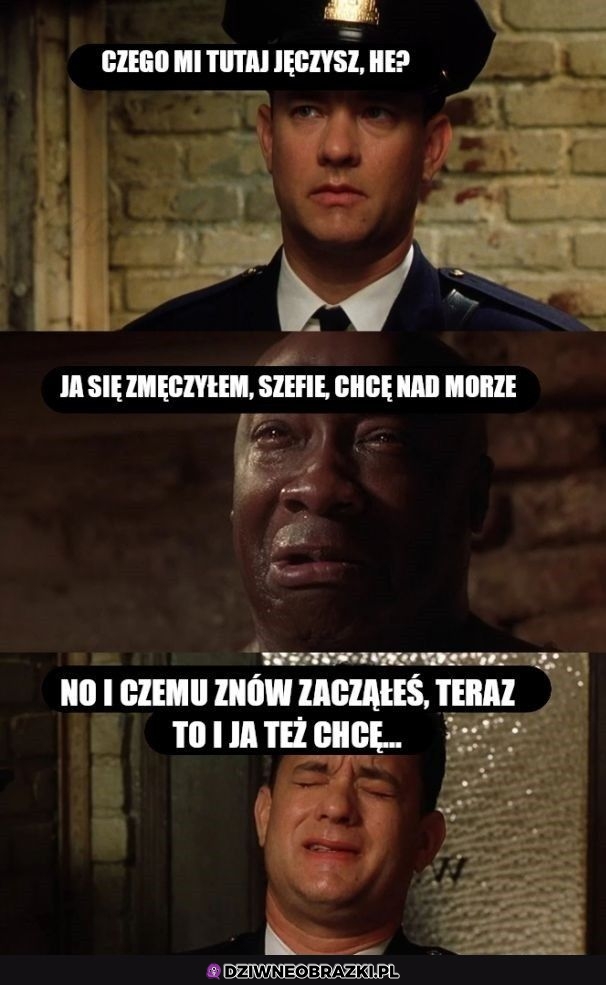 Wszyscy chcemy