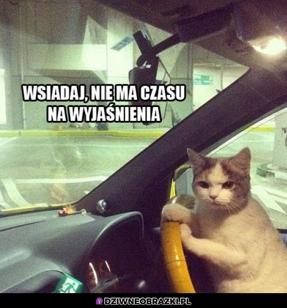 Wskakuj