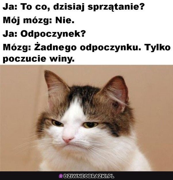 Plan na wolny dzień