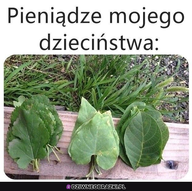 Kiedyś to było...