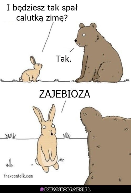Najlepszy plan
