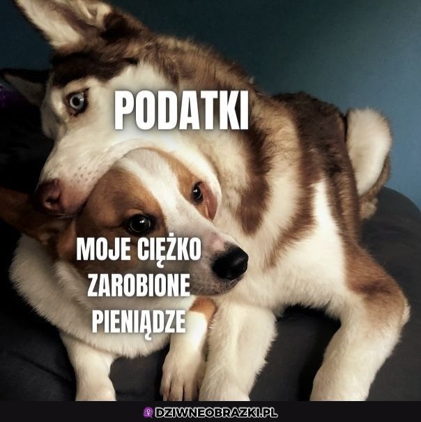 Zżerają je