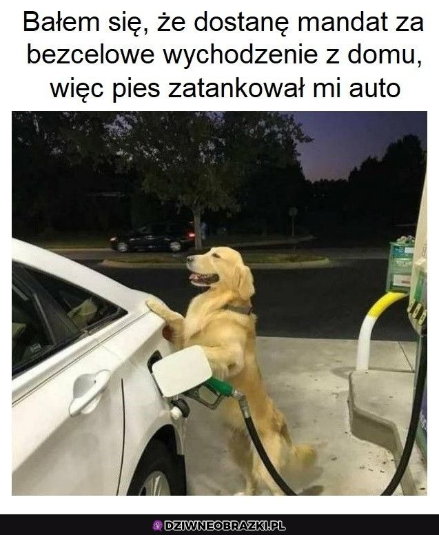 Ogarnięte