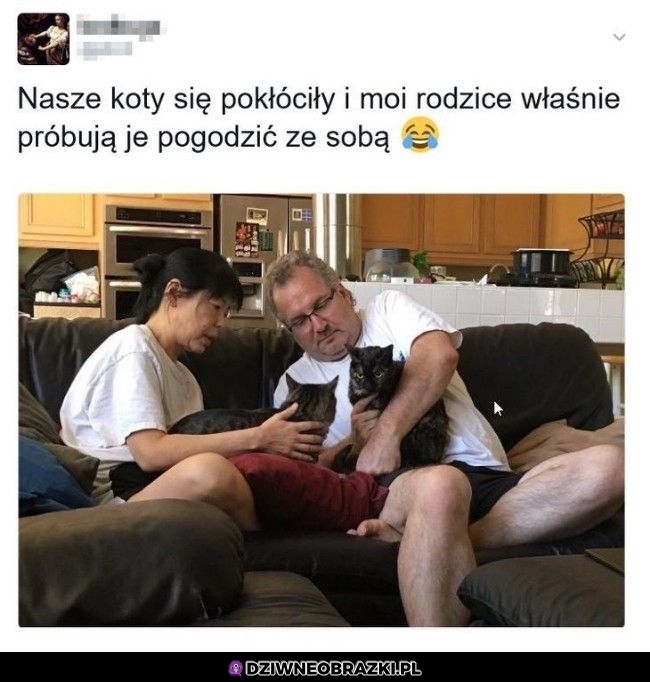 Mediacje