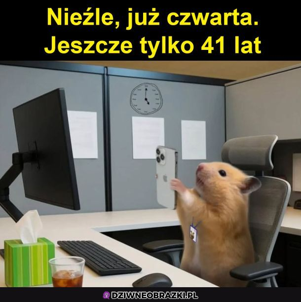 I tylko do piątku 