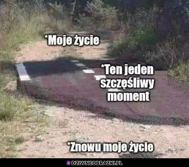 Tak właśnie wygląda